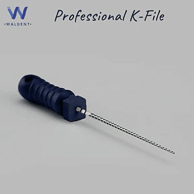 Waldent Professional K-File 21mm