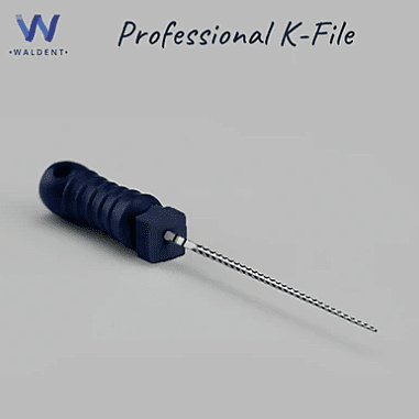 Waldent Professional K-Files 25mm