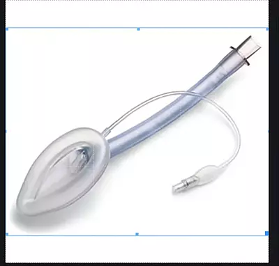 Laryngeal Mask Disposable 