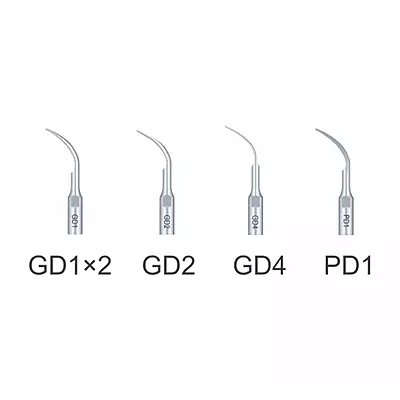 Waldent RTA D1 Ultrasonic Scaler By Woodpecker