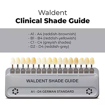 Waldent Clinical Shade Guide (For VITA Shades, German Standard)