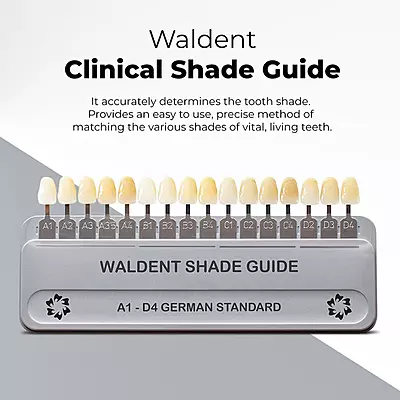 Waldent Clinical Shade Guide (For VITA Shades, German Standard)