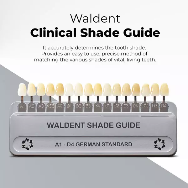 Waldent Clinical Shade Guide (For VITA Shades, German Standard)