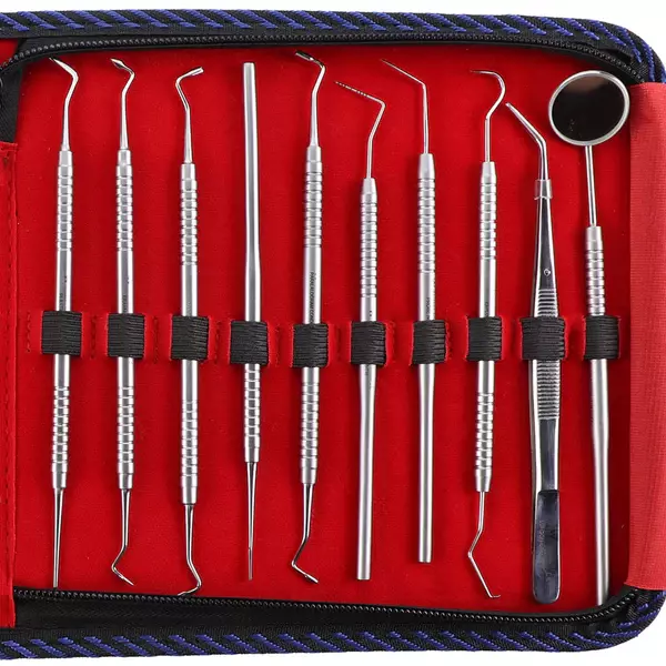 Waldent Conservative Instrument Kit of 20 (K15/1) Waldent Conservative Instrument Kit of 20 (K15/1)
